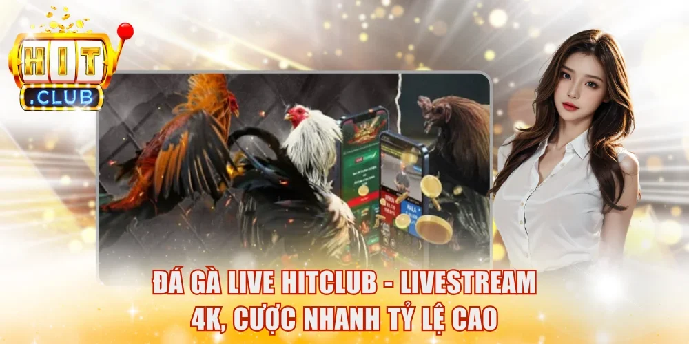 Đá gà live HitClub